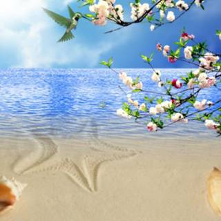 Spring beach wallpaper