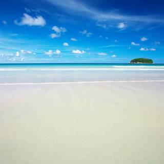 Spring beach wallpaper