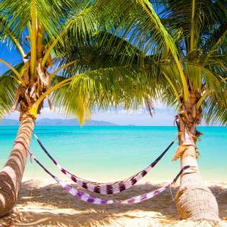 Spring beach wallpaper