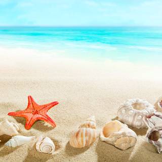 Spring and beach wallpaper