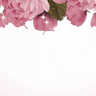 Triple monitor spring wallpaper