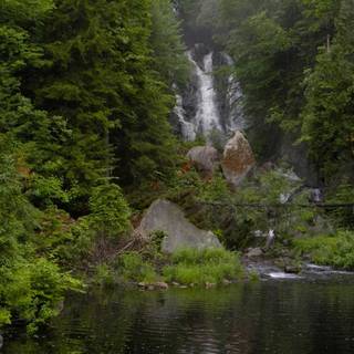 Triple screen spring wallpaper