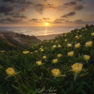 Spring beach wallpaper