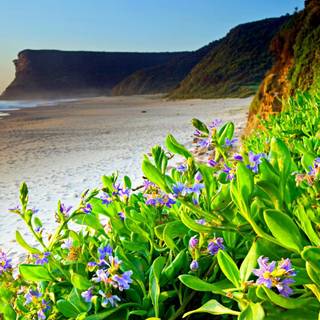 Spring beach wallpaper