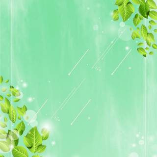 Leaves spring wallpaper