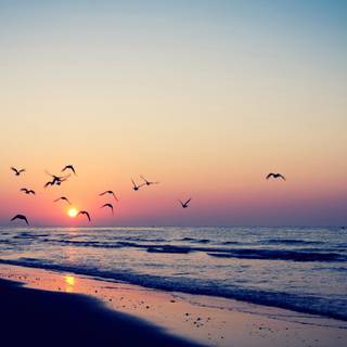 Spring beach wallpaper