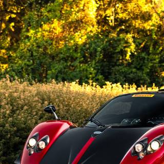 Pagani Utopia wallpaper