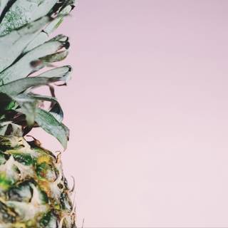 Fresh fruits minimalist HD wallpaper