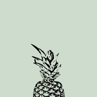 Fresh fruits minimalist HD wallpaper