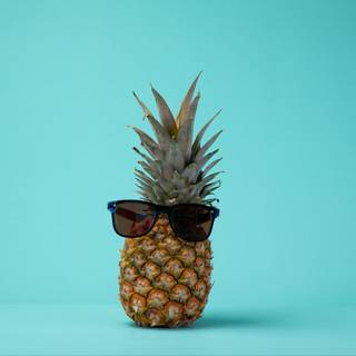 Fresh fruits minimalist HD wallpaper