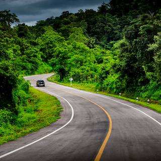 Green forest road HD wallpaper