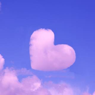 Pink heart desktop wallpaper