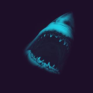 White Shark gaming wallpaper
