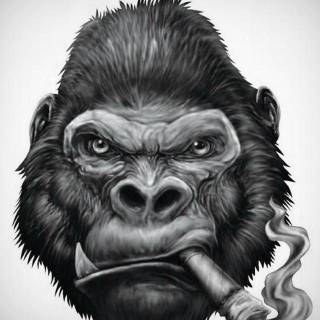 Gorilla phone wallpaper