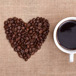 Coffee lover HD wallpaper