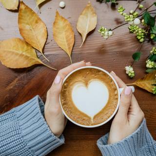 Coffee lover HD wallpaper