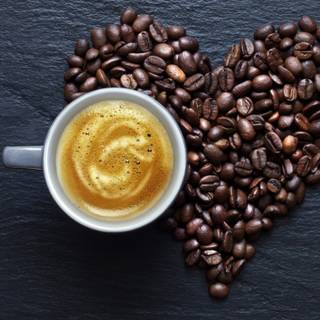 Coffee lover HD wallpaper