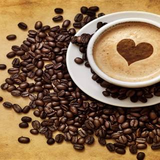 Coffee lover HD wallpaper