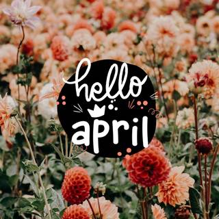 Hello April wallpaper