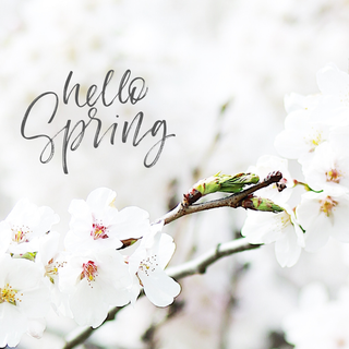 Hello April wallpaper