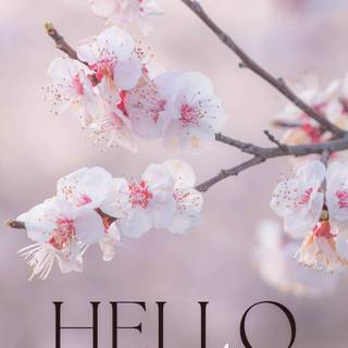 Hello April wallpaper