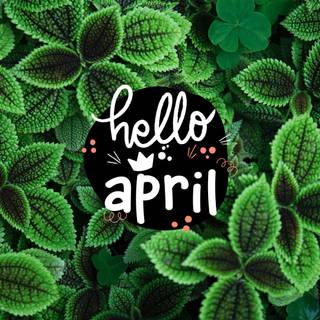 Hello April wallpaper