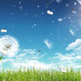 Cartoon spring desktop wallpaper