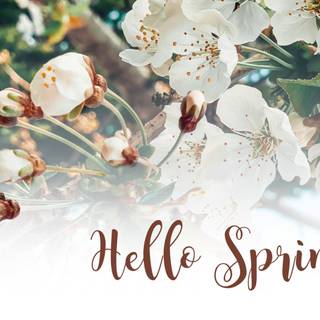 Basic hello spring wallpaper