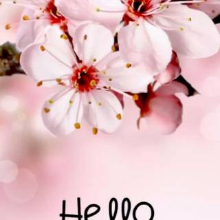 Basic hello spring wallpaper