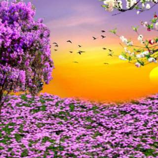 Spring nature computer wallpaper