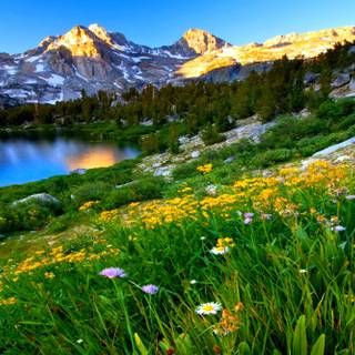 Spring nature computer wallpaper