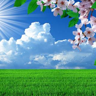 Spring nature computer wallpaper