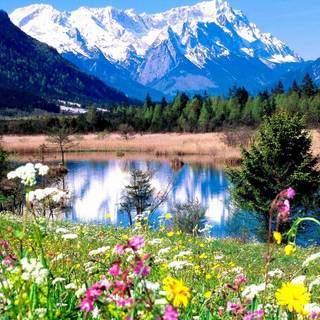 Spring nature computer wallpaper