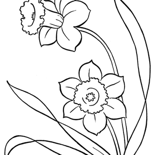 Spring flower drawing wallpaper