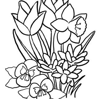 Spring flower drawing wallpaper