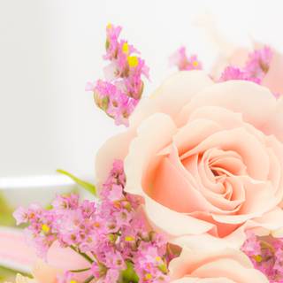 Peach spring flowers wallpaper