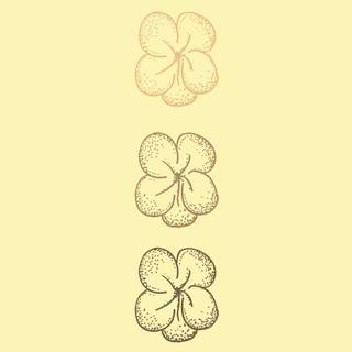 Spring flower drawing wallpaper