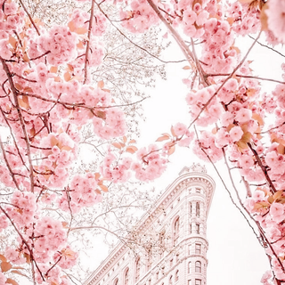 Lofi spring pink wallpaper