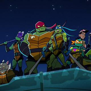 Rise of The Teenage Mutant Ninja Turtle Donnie wallpaper