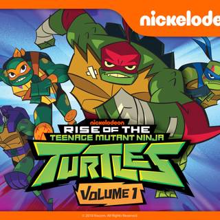 Rise of The Teenage Mutant Ninja Turtle Donnie wallpaper