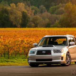 Subaru Forester STI wallpaper