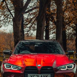 BMW M Competition logo wallpaper