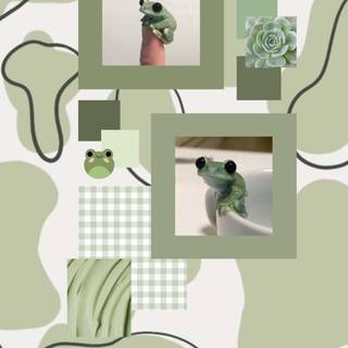 Aesthetic frog collage wallpaper