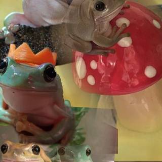 Aesthetic frog collage wallpaper