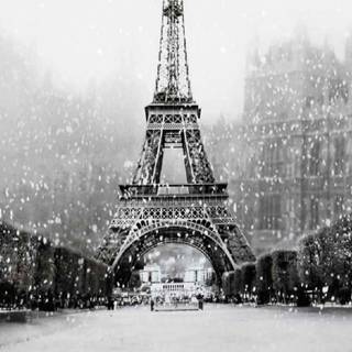 Miraculous Ladybug Paris wallpaper