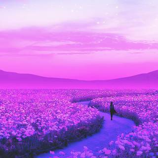 Lavender farm wallpaper