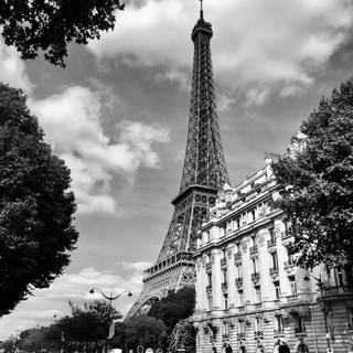 Paris black and white wallpaper