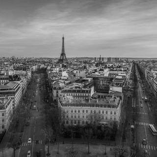Paris black and white wallpaper