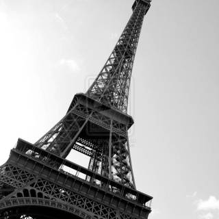 Paris black and white wallpaper