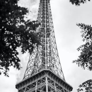 Paris black and white wallpaper